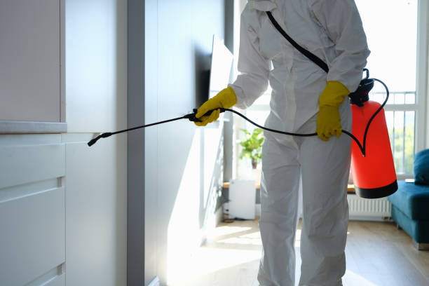Best Office Mold Removal Services  in Lynchburg, TN